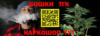 дживик Тайшет
