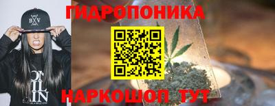 дживик Тайшет
