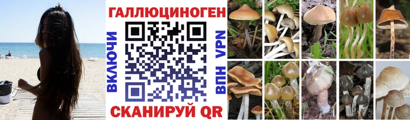 кракен как зайти  купить   Ахтубинск  Галлюциногенные грибы мицелий 