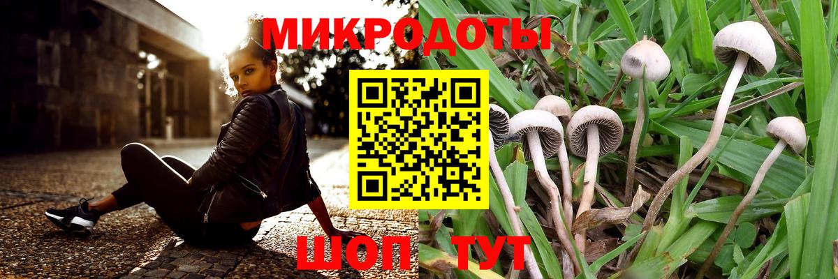 Ахтубинск  Псилоцибиновые грибы Cubensis  Вход с VPN  Галлюциногенные грибы Cubensis 