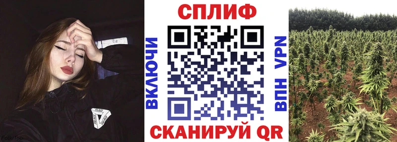 ссылка на мегу как войти  Ахтубинск  Канабис индика 